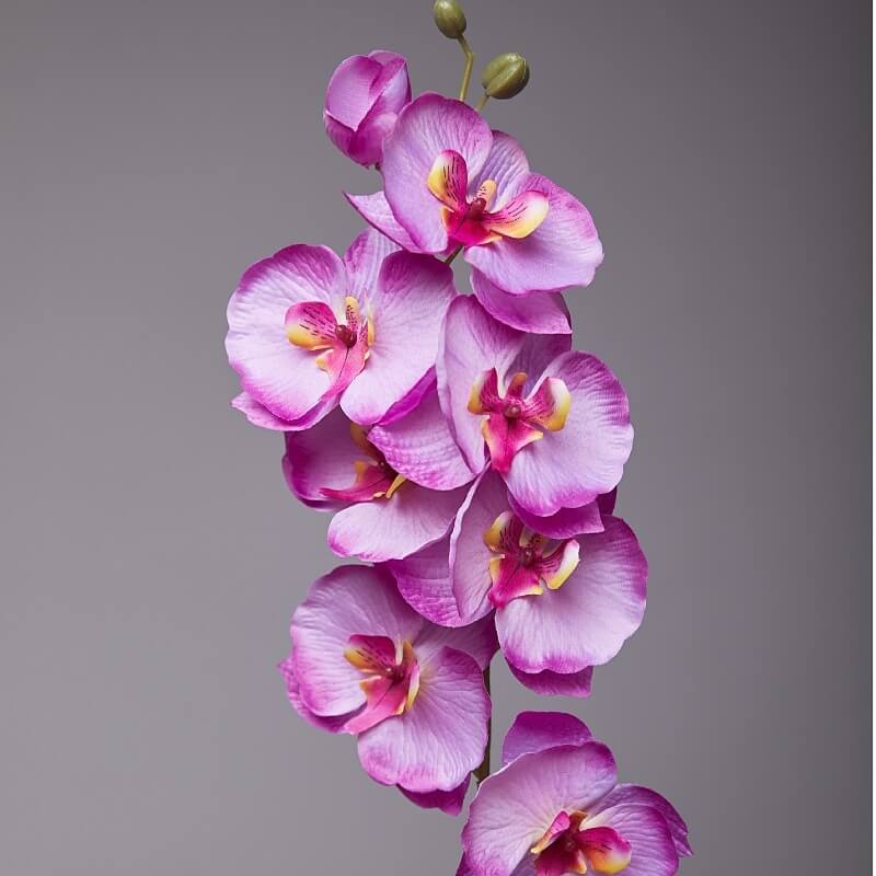 Artificial Phalaenopsis Flowers