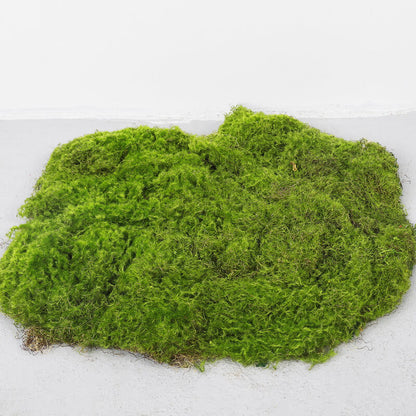 Oasis pour fleurs artificielles