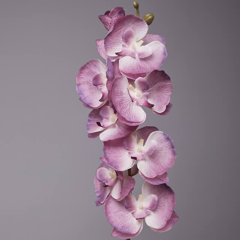 Artificial Phalaenopsis Flowers