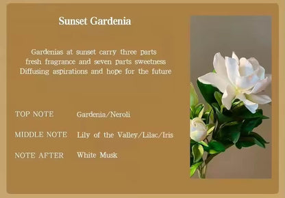 Coconut Shell Aromatherapy Candle