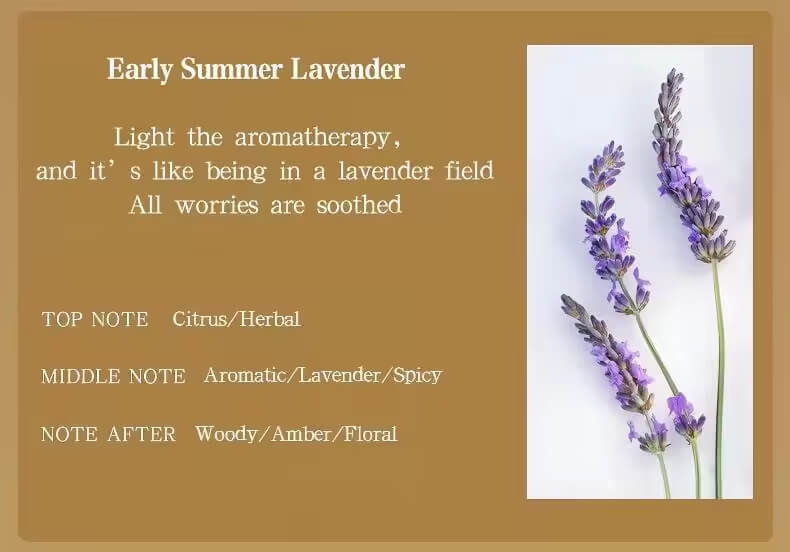 Coconut Shell Aromatherapy Candle