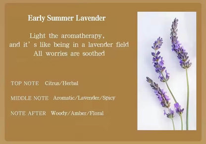 Coconut Shell Aromatherapy Candle