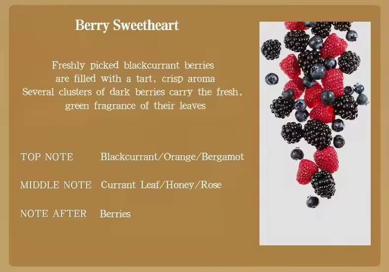 Coconut Shell Aromatherapy Candle