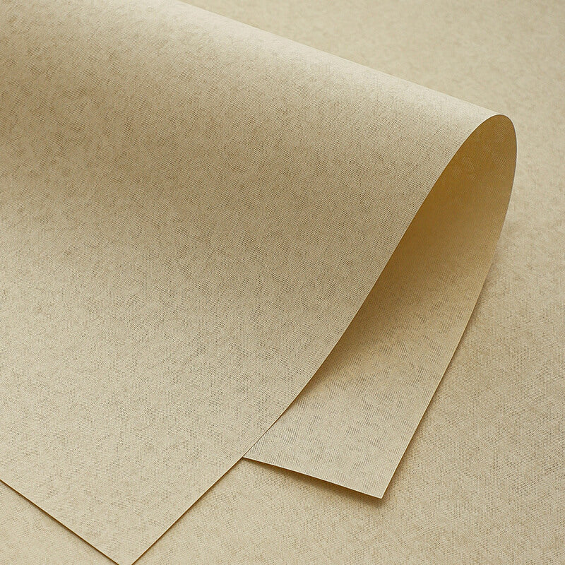 Dark Textured Art Paper, 21.3 × 13.8 Inch, 8 Sheets