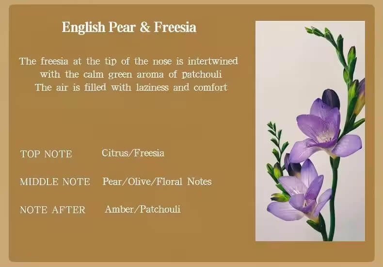 Coconut Shell Aromatherapy Candle