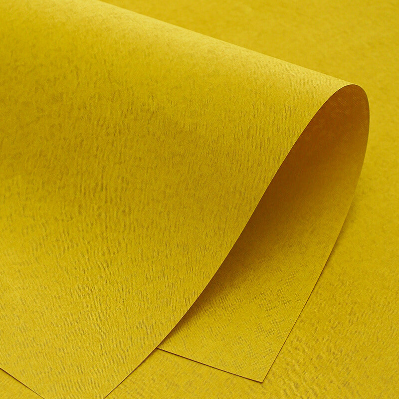 Dark Textured Art Paper, 21.3 × 13.8 Inch, 8 Sheets