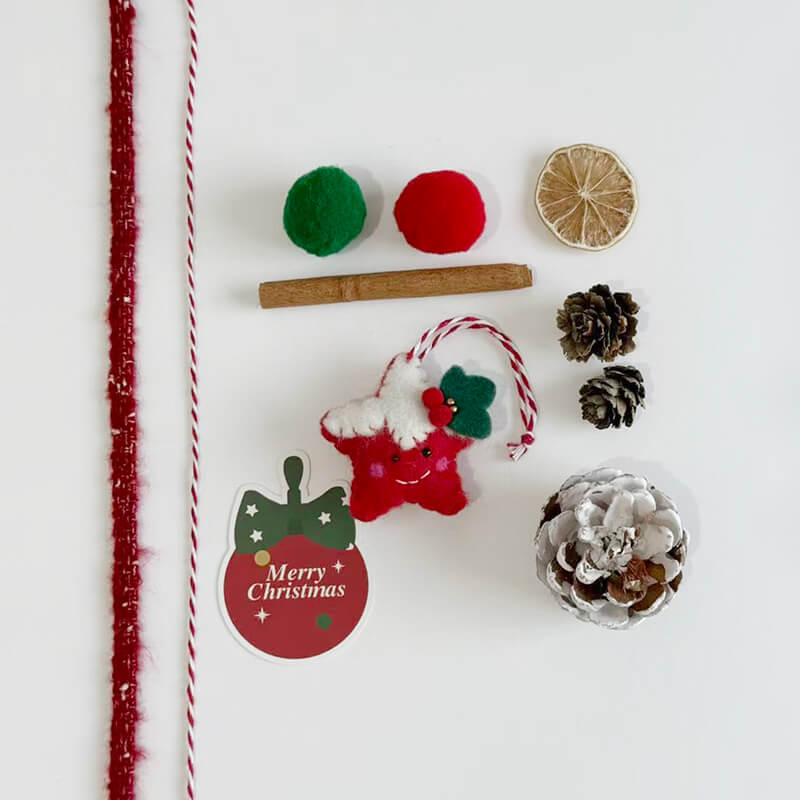 Merry Christmas Boxes DIY Kit